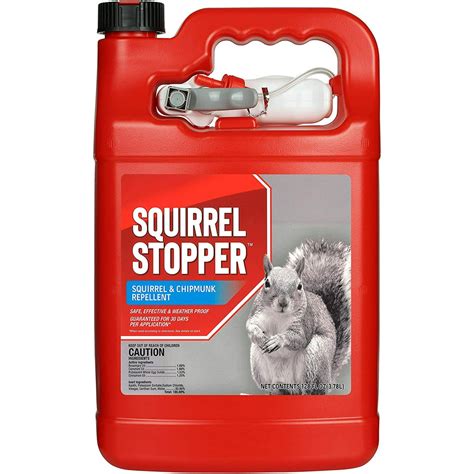 Squirrel deterrent. Things To Know About Squirrel deterrent. 